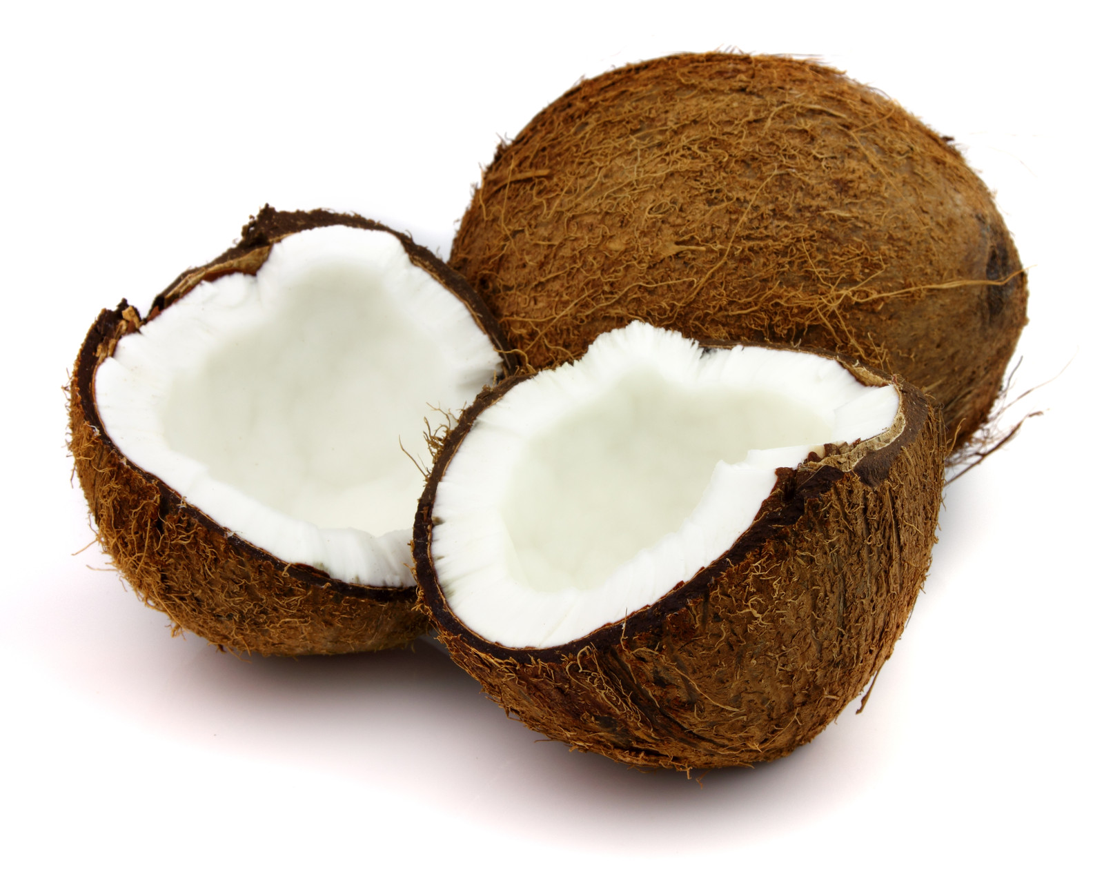 Coconut