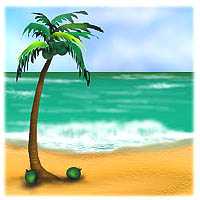 International Coconut carries all Cuts of Coconut!