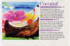 womansworld06.jpg (198714 bytes)